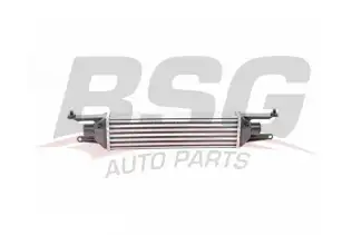 BSG 25535009 Turbo Radyatörü