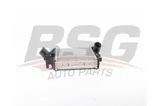 BSG 60535014 Turbo Radyatörü