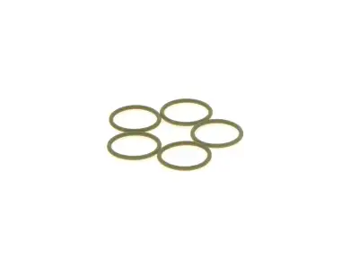 BOSCH 1410257002 O-Ring - 25. Görsel