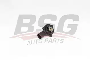 BSG 90126041 Termostat