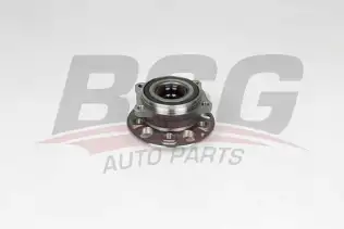 BSG 60600025 Porya Ön