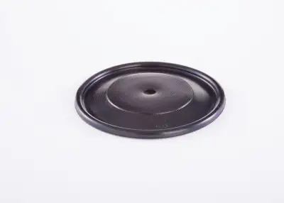 BOSCH 2420503002 Diyafram - 13. Görsel