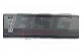 BSG 65925033 Kapı Bandı Ön Sağ