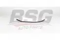 BSG 60145004 Polen Filtresi