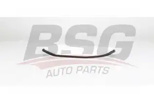 BSG 60145004 Polen Filtresi
