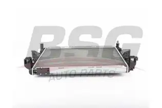 BSG 90520024 Su Radyatörü