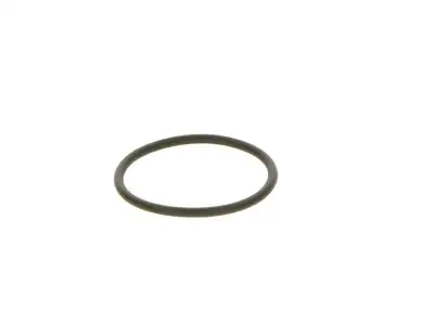 BOSCH F00R0P0166 O-Ring - 19. Görsel