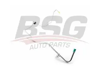 BSG 30725045 Direksiyon Hortumu
