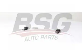 BSG 15310189 Viraj Askı Rotu Arka
