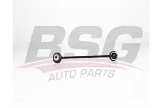 BSG 16310004 Viraj Askı Rotu Ön