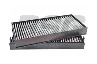 BSG 15145005 Polen Filtresi