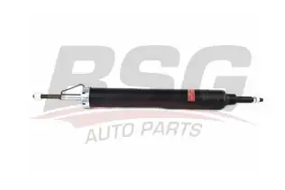 BSG 15300018 Amortisör Arka