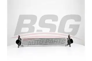 BSG 90535015 Turbo Radyatörü