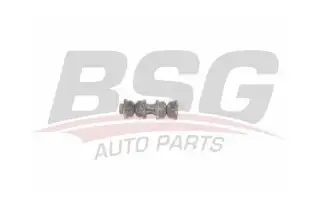 BSG 90700190 Amortisör Takozu Arka