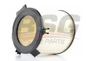 BSG 90145003 Polen Filtresi