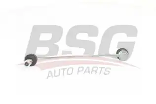 BSG 40310096 Viraj Askı Rotu Ön