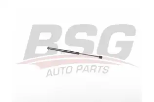 BSG 15980046 Bagaj Amortisörü