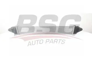 BSG 15535010 Turbo Radyatörü