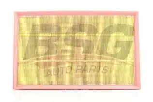 BSG 60135002 Hava Filtresi