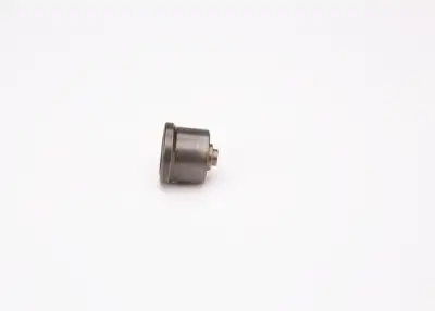 BOSCH 2418554057 Pompa Valfi - 6. Görsel