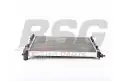 BSG 25520009 Su Radyatörü