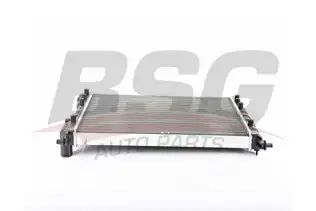 BSG 25520009 Su Radyatörü