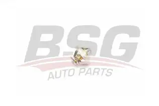 BSG 90125002 Termostat