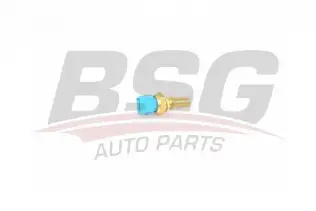 BSG 25840008 Hararet Müşürü