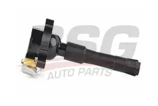 BSG 15835003 Ateşleme Bobini