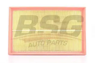 BSG 90135017 Hava Filtresi