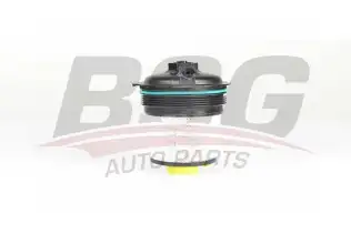 BSG 30130020 Yakıt Filtresi