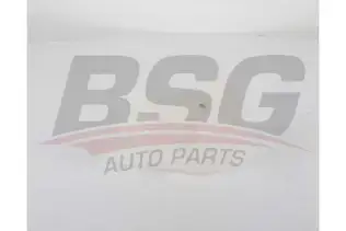 BSG 65550017 Radyatör Yedek Su Deposu
