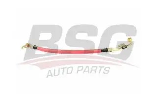 BSG 30725006 Direksiyon Hortumu