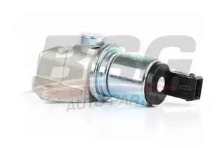 BSG 30836001 Rolantı Ayar Valfi