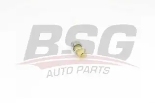BSG 75840002 Yağ Basınç Müşürü
