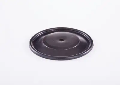 BOSCH 2420503002 Diyafram - 25. Görsel