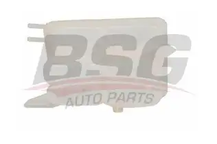 BSG 30550007 Radyatör Yedek Su Deposu