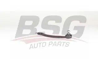 BSG 15310160 Rot Başı Sol