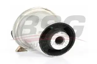 BSG 65700091 Dingil Burcu Arka