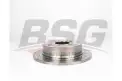 BSG 40210042 Fren Diski Arka