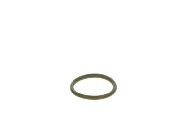 BOSCH F00VC38041 O-Ring - 16. Görsel