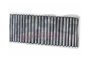 BSG 70145018 Polen Filtresi