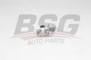 BSG 65125015 Termostat
