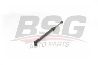 BSG 15980011 Bagaj Amortisörü