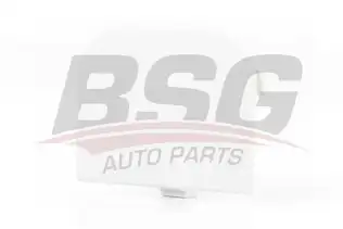 BSG 30922087 Çeki Demir Kapağı Arka