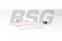 BSG 25310052 Viraj Askı Rotu Ön