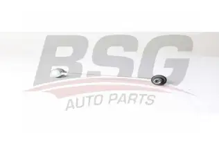 BSG 25310052 Viraj Askı Rotu Ön