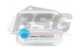 BSG 40506001 Yağ Soğutucusu