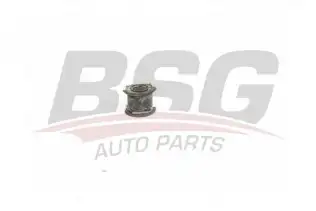 BSG 25700048 Viraj Demir Lastiği Ön