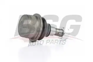 BSG 60310123 Rotil Alt